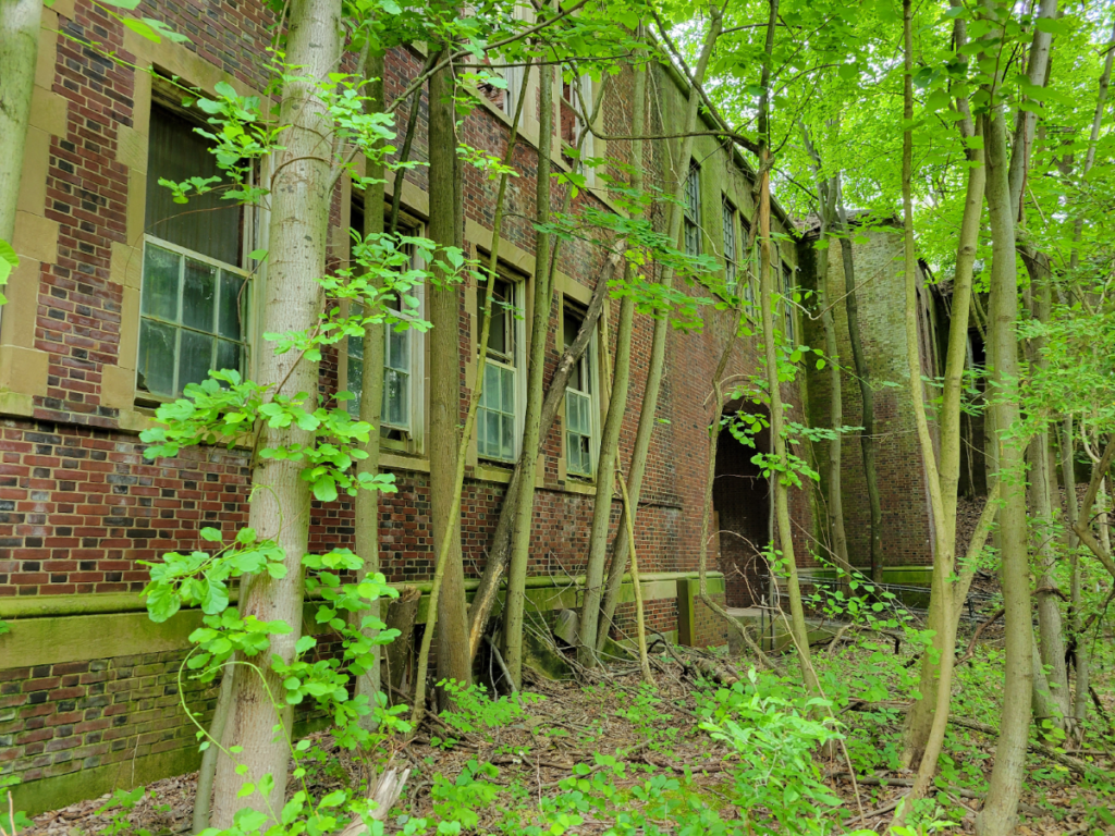 Pennhurst overgrown