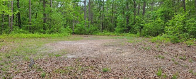Devil's Tramping Ground