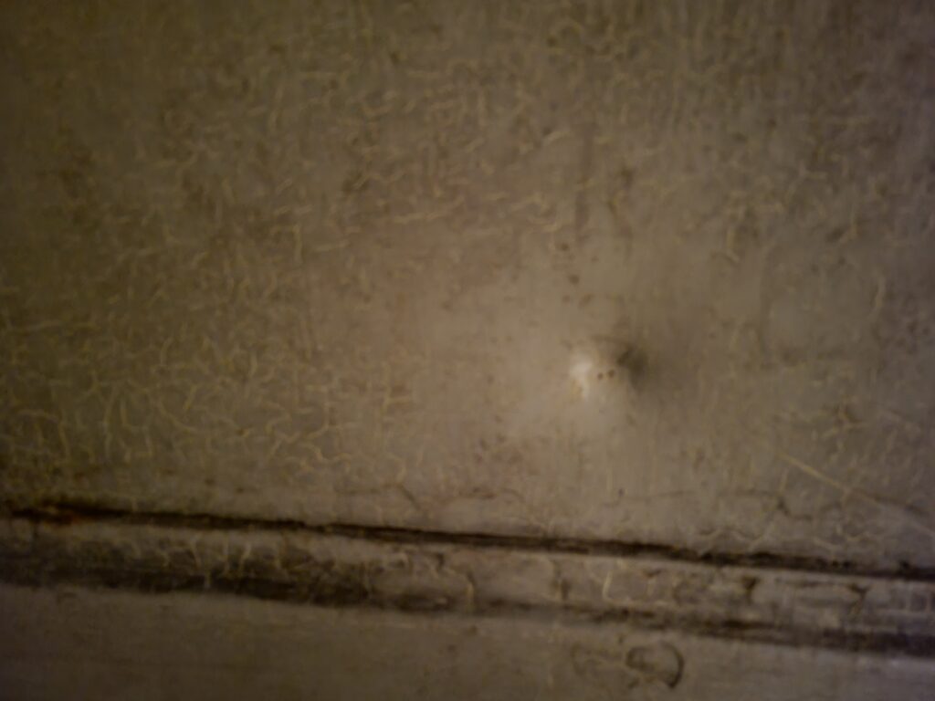 Bullet in door